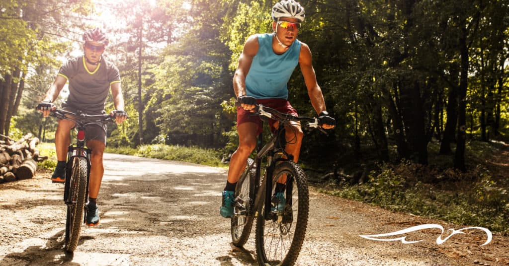 Two men on mountain bikes cycling on forest trail.