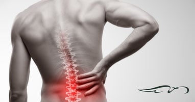 https://phoenixphysicaltherapy.com/wp-content/uploads/2019/08/low-back-pain-work.jpg